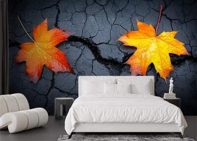 image of a road with a broken asphalt surface and two autumn maple leaves. view from above Wall mural