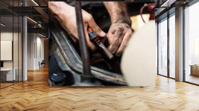 close up on mechanic repair man electrician using hand tool combined pliers to connect copper wires  Wall mural