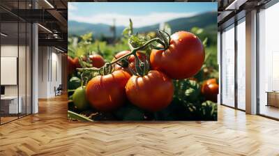 ripe fresh organic tomato. generative ai Wall mural