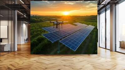 Aerial View of Solar Panel Installation with Business Team Overseeing Sustainable Energy Project Wall mural