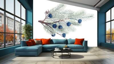 Christmas tree branch and blue berries isolated on white background Wall mural