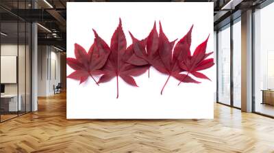 Vivid red autumn leaves border on white Wall mural