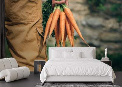 Gardeners hands with fresh carrots Wall mural