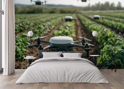 A group of drones is flying above a lush green crop field under the warm glow of sunrise, demonstrating the use of technology in modern agriculture. Wall mural