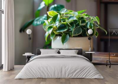 Vibrant green plant in a textured pot placed on a wooden table, with natural light streaming in from a nearby window. The lush foliage adds a touch of nature to the indoor space. Wall mural