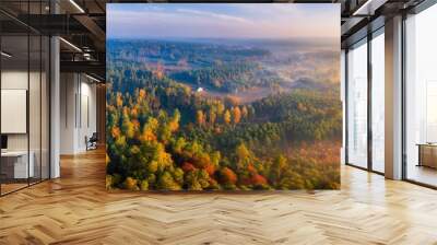 Aerial landscape with house and foggy sunrise over meadows and forest Wall mural