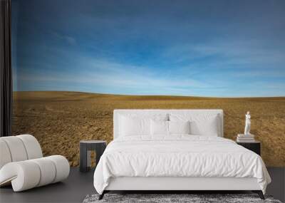 Early springtime plowed field landscape Wall mural