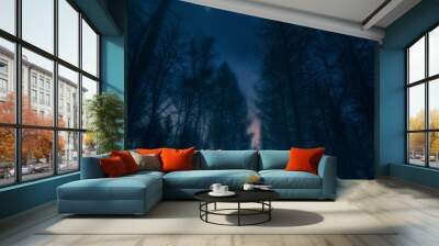 surreal night forest landscape with alone strange man with flashlight. Wall mural