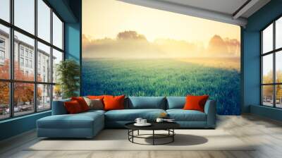 vintage photo of sunrise over meadow Wall mural