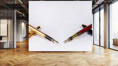 Fountain pen, two beautiful fountain pens on white background, selective focus. Wall mural