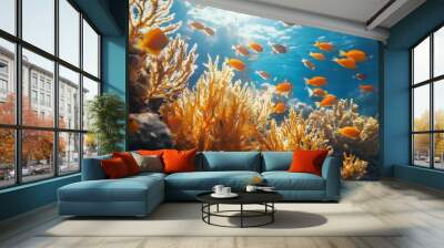 Coral reef pictures with fish swimming in colorful underwater scenes Wall mural