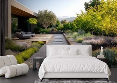 Minimalist backyard featuring a gravel pathway and simple cactus garden Wall mural