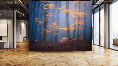 fantasy moody forest in autumn Wall mural