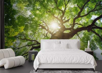 tree trunk with branches with sun shinning on leaves. nature and environment background Wall mural