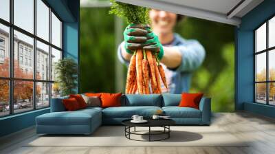 Close up gardener with bunch of carrots in hand in garden Wall mural