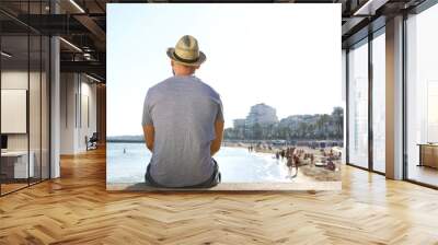 Portrait from behind of a man sitting alone looking at the beach Wall mural