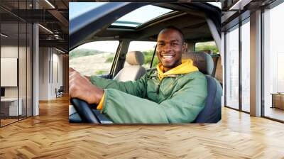 smiling young african american man driving car Wall mural