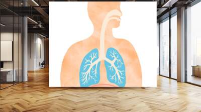 水彩風のカラフルな肺と気管支のイラストと人のシルエット 
Colorful illustration of the lungs and trachea with human silhouette with water color texture Wall mural