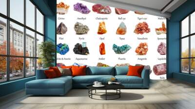 beautiful collection of geological minerals on a white background Wall mural