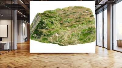 Macro Diopside mineral stone on a white background Wall mural