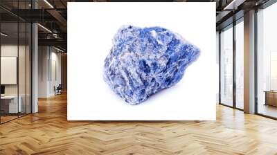 macro mineral sodalite stone on a white background Wall mural