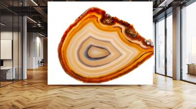 Macro mineral stone Yellow, brown Agate breed a white background Wall mural