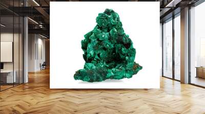 macro stone mineral malachite on a white background Wall mural