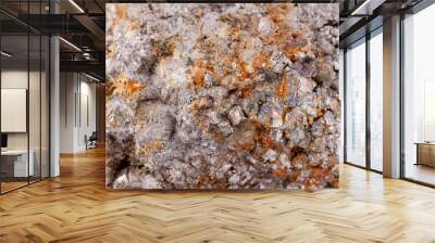 stone macro mineral arsenopyrite on a white background Wall mural