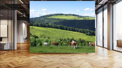 Beautiful swiss landscape, green mountains with grazing cows on the pasture. Summer day. Simmental bread cows. Wall mural