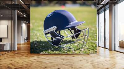 Close-up of a cricket helmet resting on green grass with a soft-focus background Wall mural