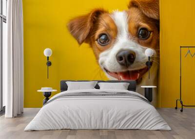 lifestyle photo Portrait funny and happy puppy dog peeking out from behind edge of frame. Wall mural