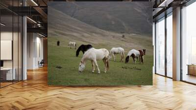 horses grazing in a field Wall mural