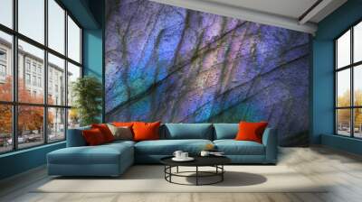 Macro detail labradorite Wall mural