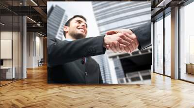 business handshake Wall mural