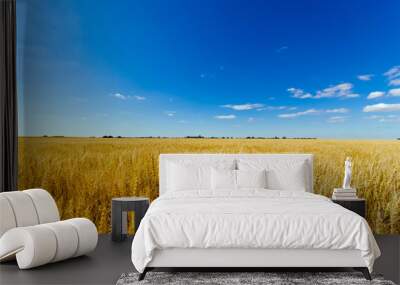 golden wheat field against a summer blue sky Wall mural