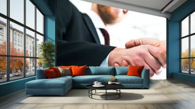 Handsome businessman shaking hands Wall mural