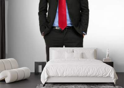 Young businessman full length portrait Wall mural