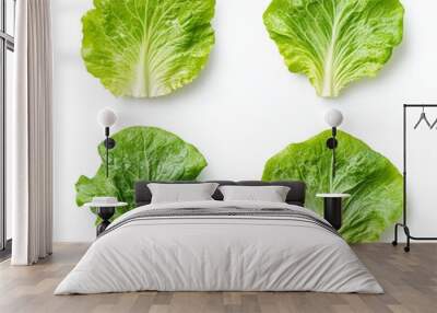 Four pieces of lettuce leaves isolated on a white background Wall mural