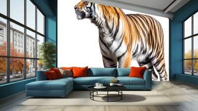 Bengal Tiger sideview - ferocious, dangerous predator on transparent background Wall mural