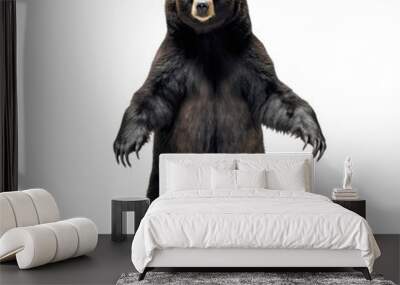 black bear standing on two legs- Dangerous wild predators on transparent background Wall mural