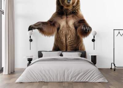 brown bear standing on two legs - dangerous predatory bear on transparent background Wall mural