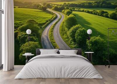 Aerial view a highway in a green wheat field, shap of 