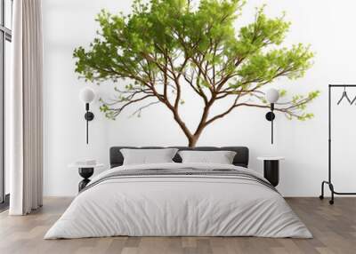 green tree in minimal style with empty background Wall mural