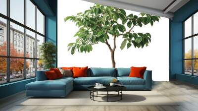 apocynaceae tree isolated on transparent background Wall mural