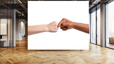 Two Fists from Different Skin Tones Bumping Together in Unity Gesture On Transparent Background Wall mural