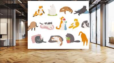 Cute and funny cats of various breeds. hand drawn style vector design illustrations.  Wall mural