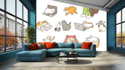 Fat cute cat lifestyle. They play pranks, have accidents, and play comfortably and happily. Wall mural