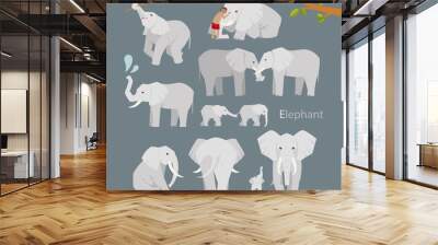 various elephant poses illustration flat design set Wall mural