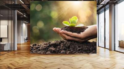 closeup hand of person holding abundance soil with young plant in hand   for agriculture or planting peach nature concept. Wall mural