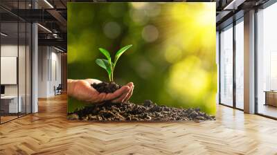 closeup hand of person holding abundance soil with young plant in hand   for agriculture or planting peach nature concept. Wall mural